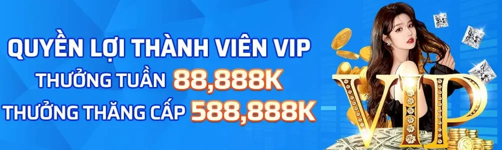 Quyền lợi của vip tại trang tv88vip com